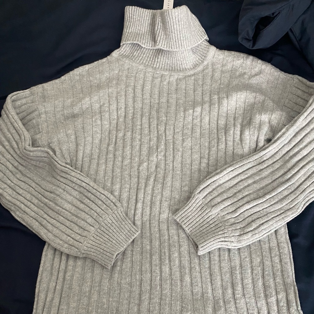 Sanctuary, NWT size large woman’s gray ribbed turtle neck dress